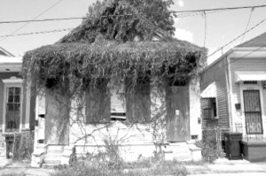 Blight-in-New-Orleans