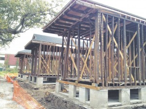 Stripped-houses-081312